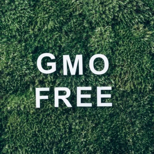 רגעים מיסטיים | מנטול נוזל שמן אתרי 100 מל - שמן טהור וטבעי למפזרים, ארומתרפיה ועיסוי תערובות טבעוניות GMO בחינם